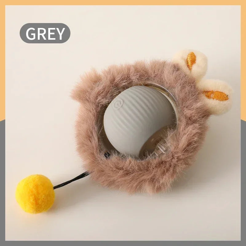 Automatic Interactive Ball