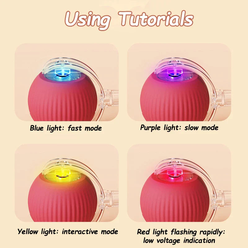 Automatic Interactive Ball