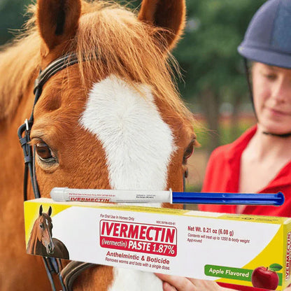 🔥Last Day 49% OFF - ivermectin Horse Paste 1.87% 6.08g Tubes