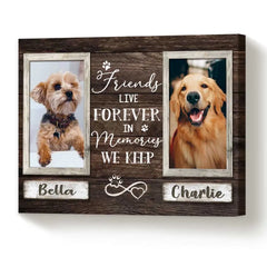 Pet Memorial Gifts, Sympathy Gifts For Pet Loss, Double Picture Frame