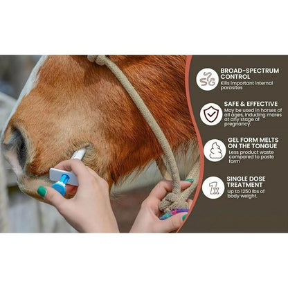 🔥Last Day 49% OFF - ivermectin Horse Paste 1.87% 6.08g Tubes