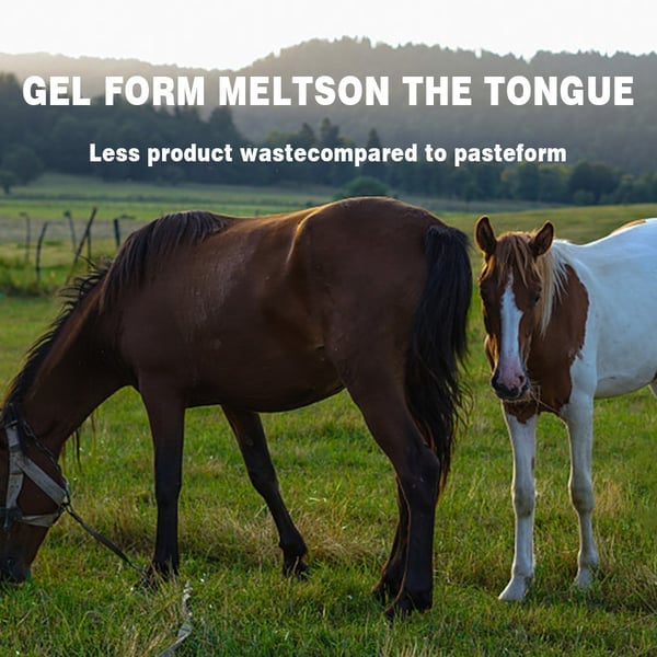 🔥Last Day 49% OFF - ivermectin Horse Paste 1.87% 6.08g Tubes