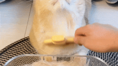 ZenBrush™ - Removes Fur & Relieves Pain