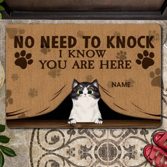 No Need To Knock We Know You Are Here Custom Doormat, Gifts For Pet Lovers, Brown Front Door Mat