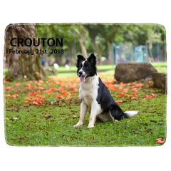 This will make any dog loving recipient smile, guaranteed!Personalized Pet Blanket.